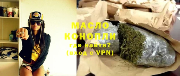 spice Инта