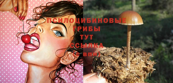 меф Каменка