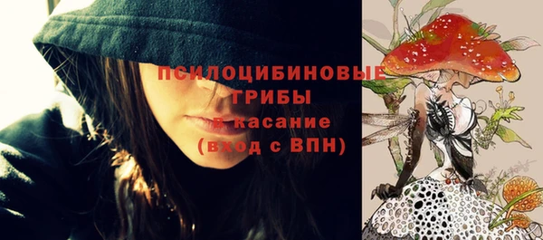 прущая мука Магас